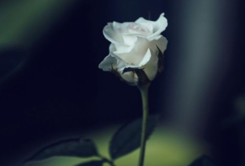 Zmarł Ks. Prałat Jan Karbowski | Kondolencje