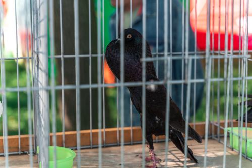 Wielkie Otwarcie Sezonu 2025_fot_M. Kluk