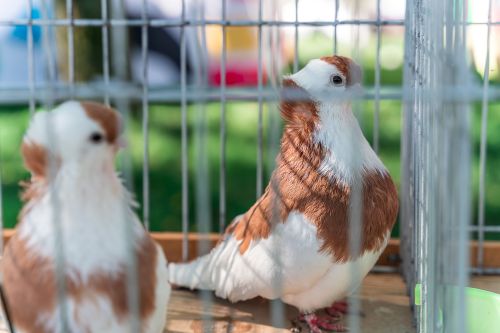 Wielkie Otwarcie Sezonu 2025_fot_M. Kluk